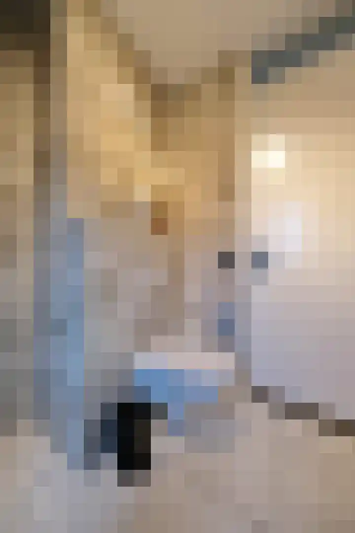 Vechtdal 8 Ede thumbnail 18