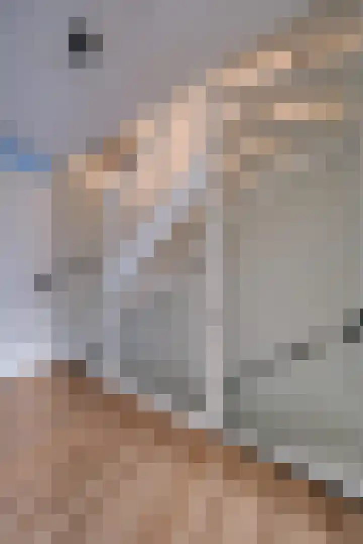 Vechtdal 8 Ede thumbnail 19