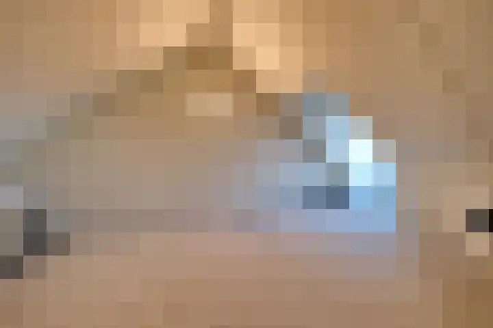 Vechtdal 8 Ede thumbnail 21
