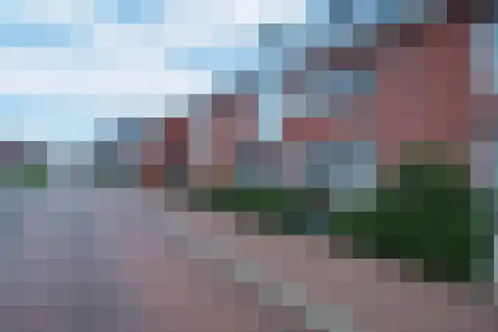 Vechtdal 8 Ede thumbnail 28