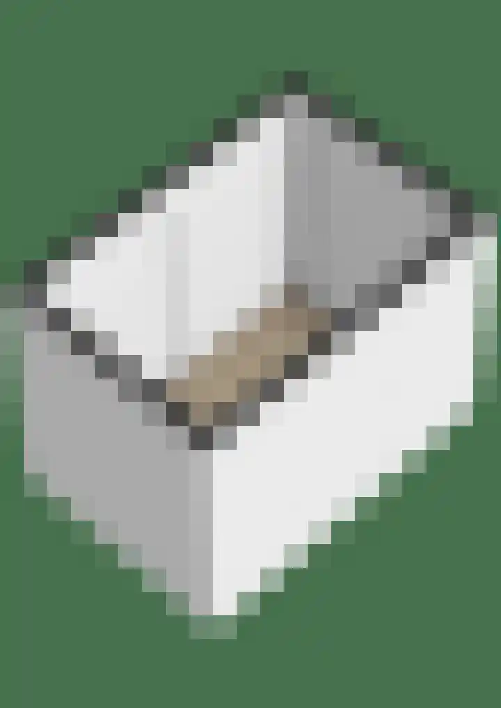 Vechtdal 8 Ede thumbnail 36