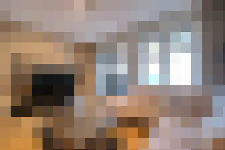 Vechtdal 8 Ede thumbnail 5