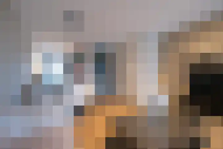Vechtdal 8 Ede thumbnail 6