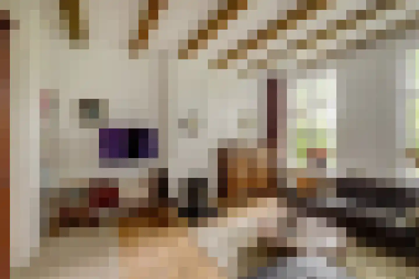Vechtdijk 146 Utrecht thumbnail 12