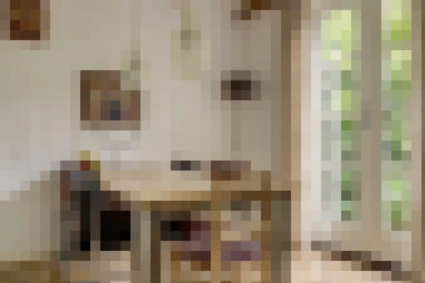 Vechtdijk 146 Utrecht thumbnail 16
