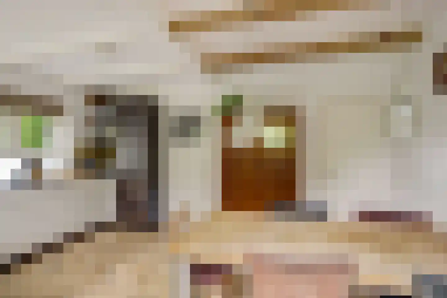 Vechtdijk 146 Utrecht thumbnail 18