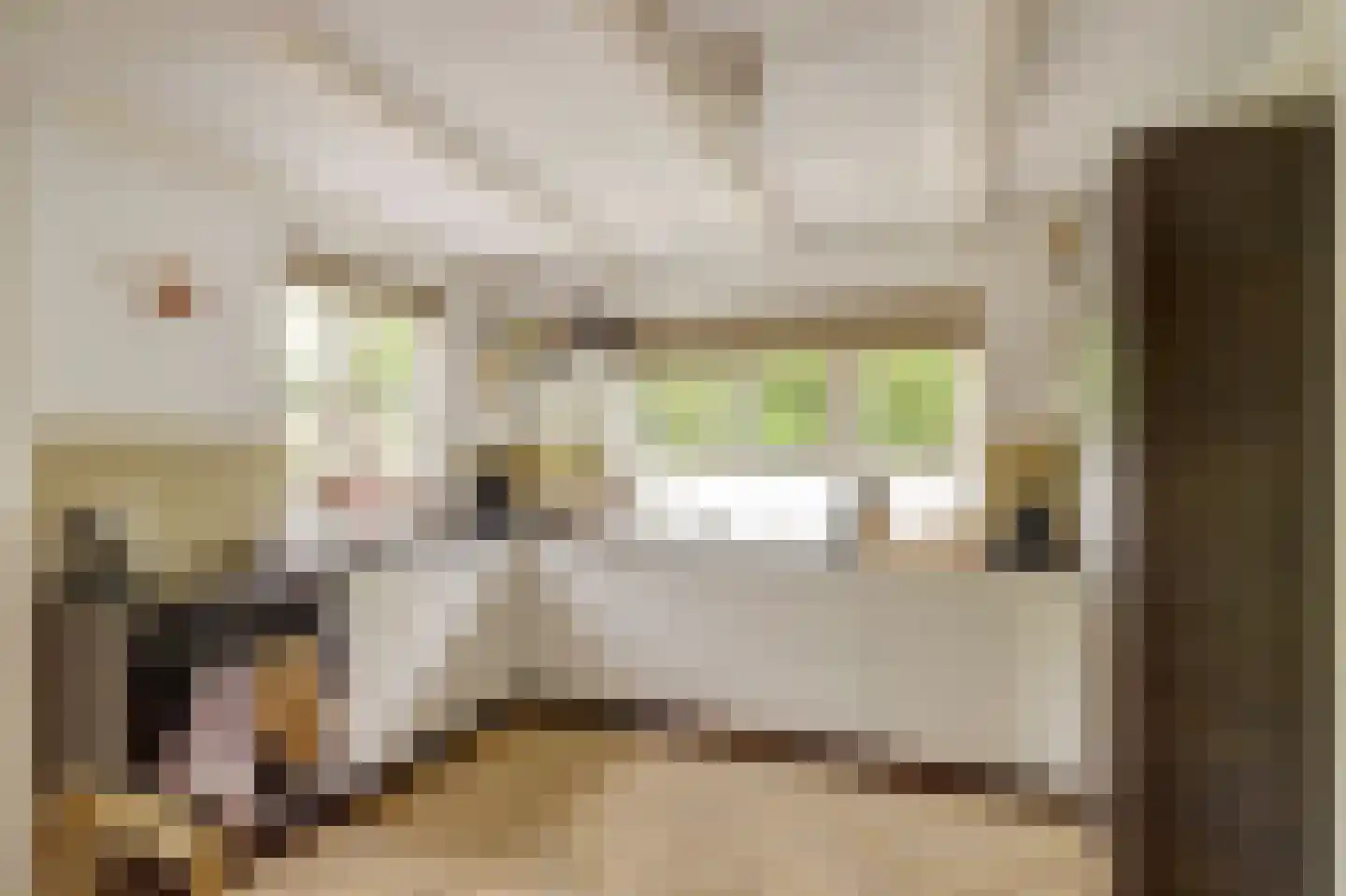 Vechtdijk 146 Utrecht thumbnail 19