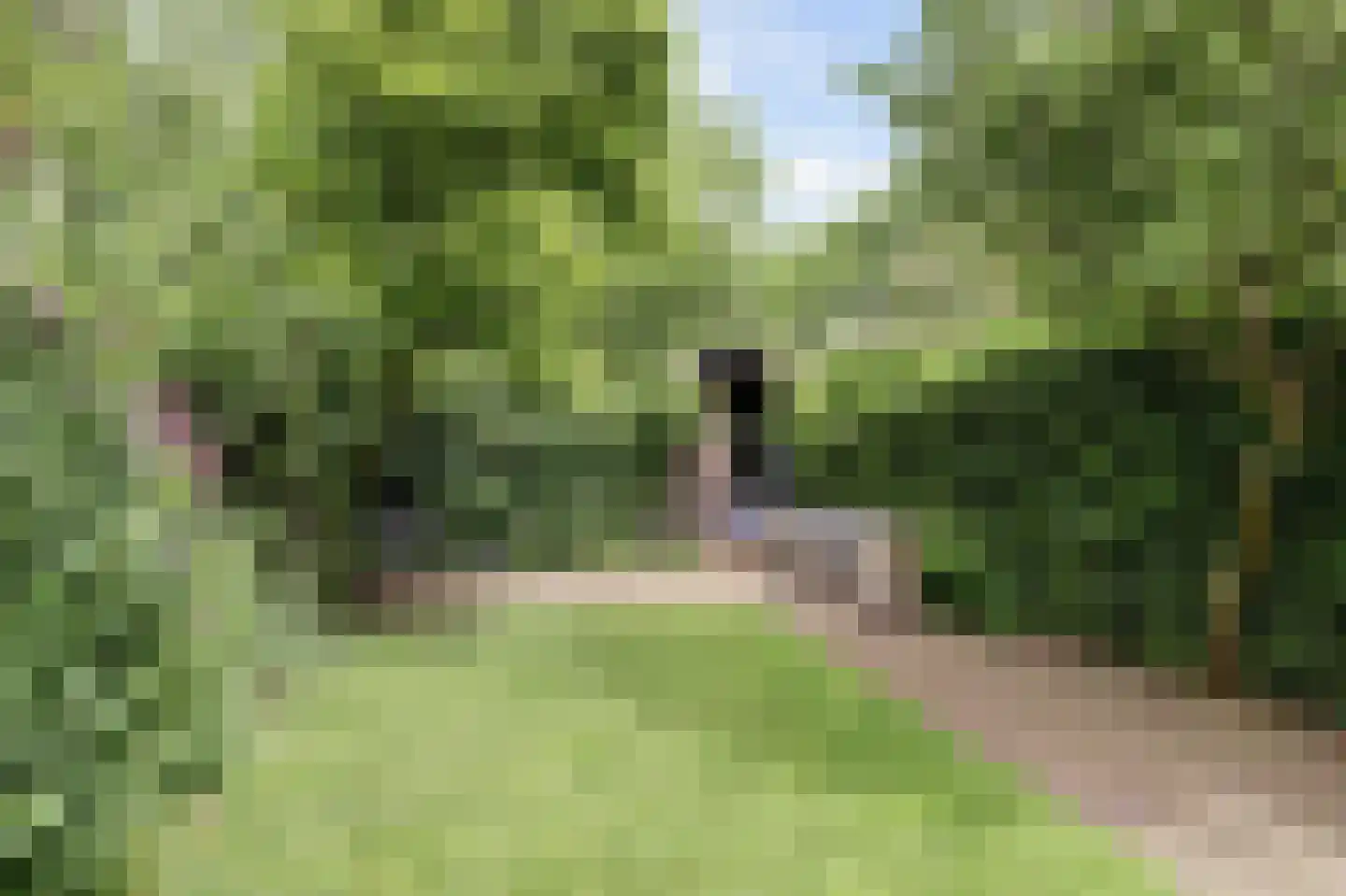 Vechtdijk 146 Utrecht thumbnail 24