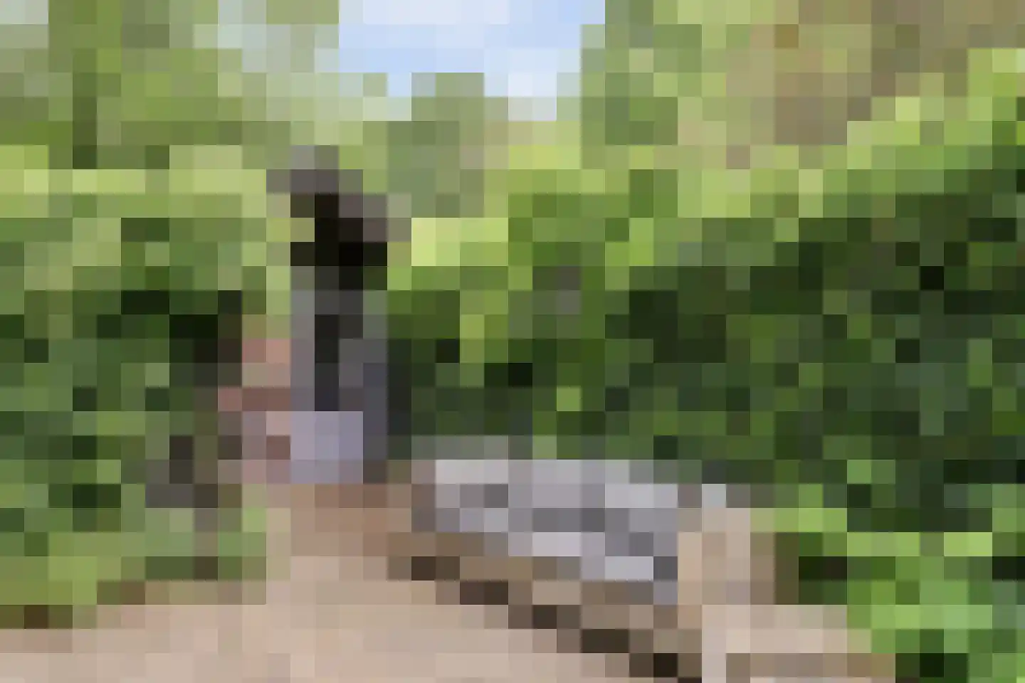 Vechtdijk 146 Utrecht thumbnail 27