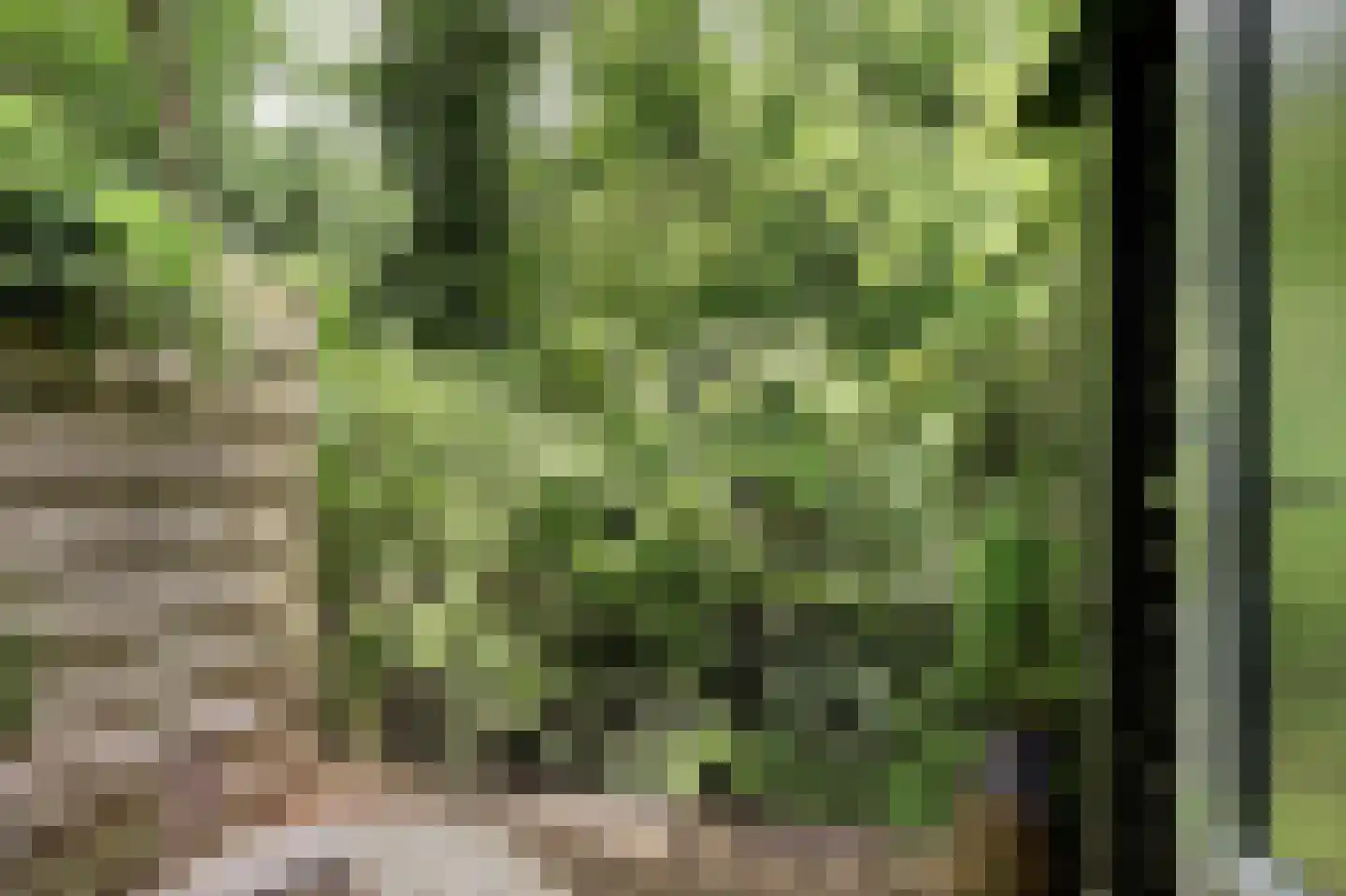 Vechtdijk 146 Utrecht thumbnail 28