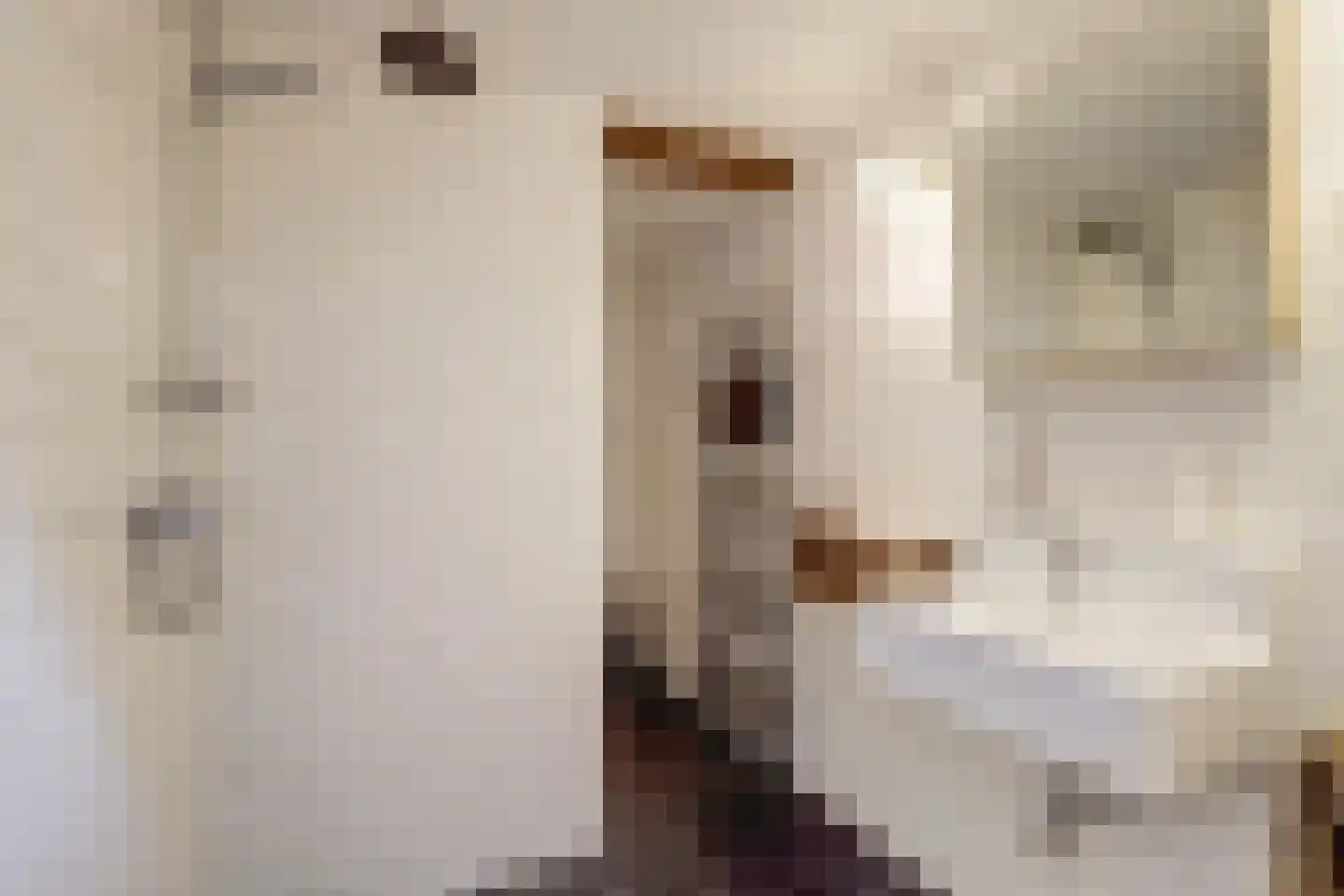 Vechtdijk 146 Utrecht thumbnail 31
