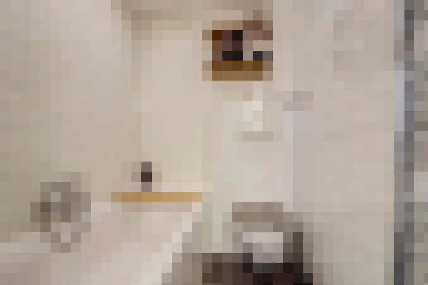 Vechtdijk 146 Utrecht thumbnail 32