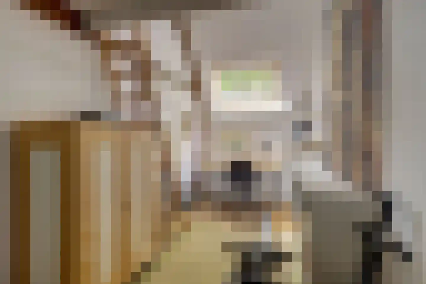 Vechtdijk 146 Utrecht thumbnail 36