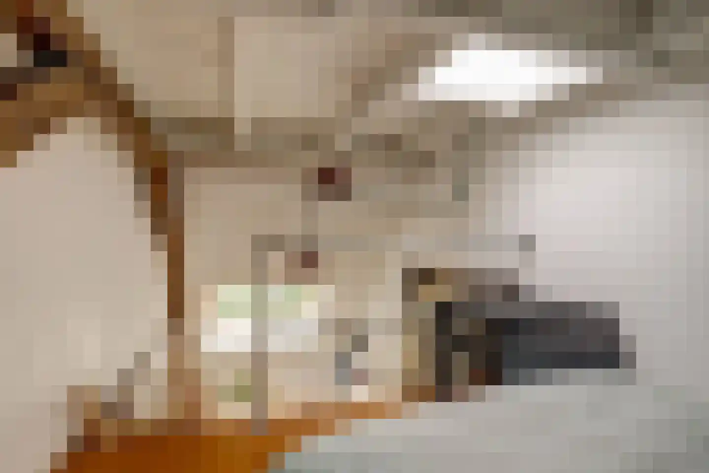 Vechtdijk 146 Utrecht thumbnail 37