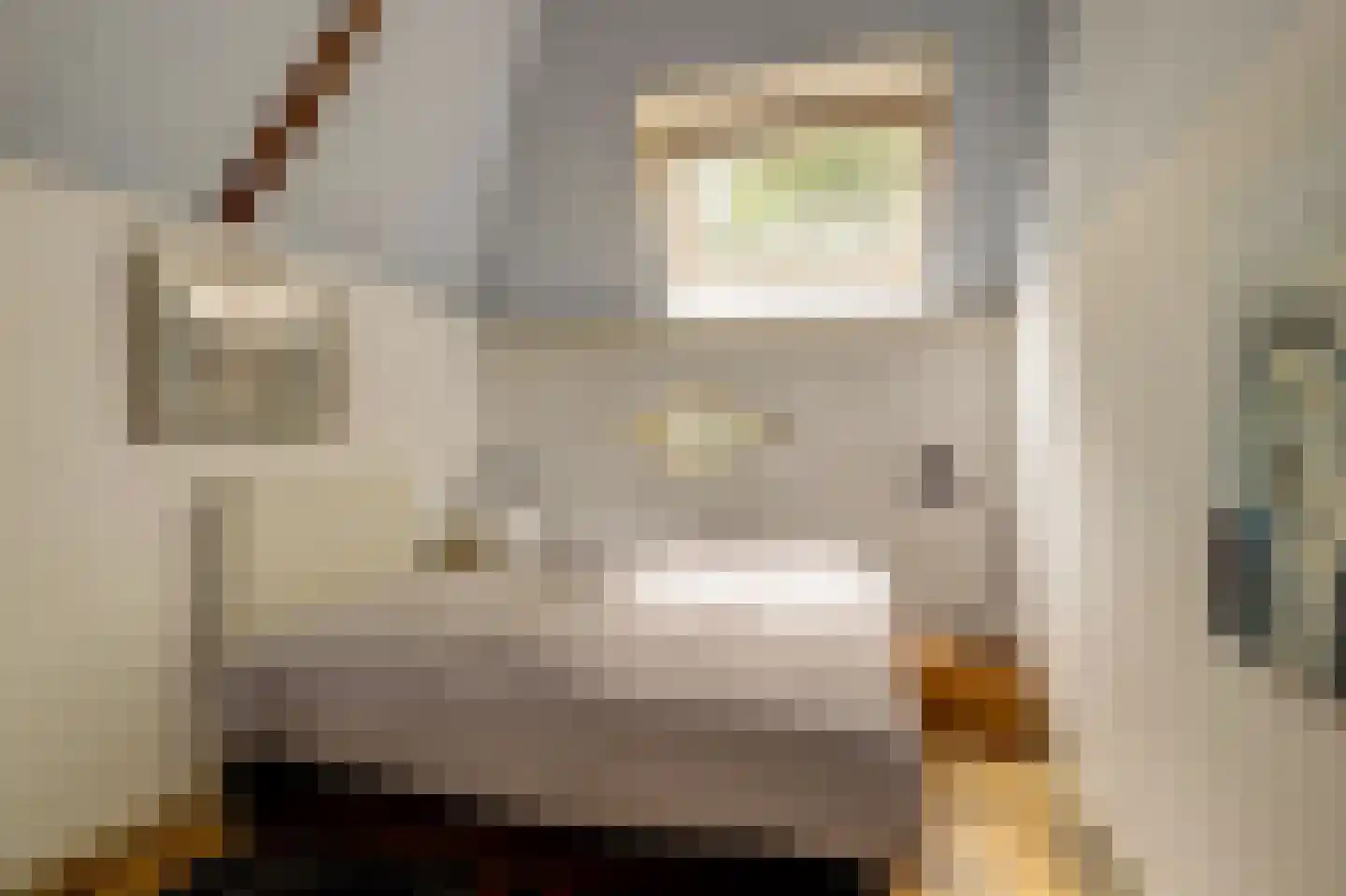 Vechtdijk 146 Utrecht thumbnail 41