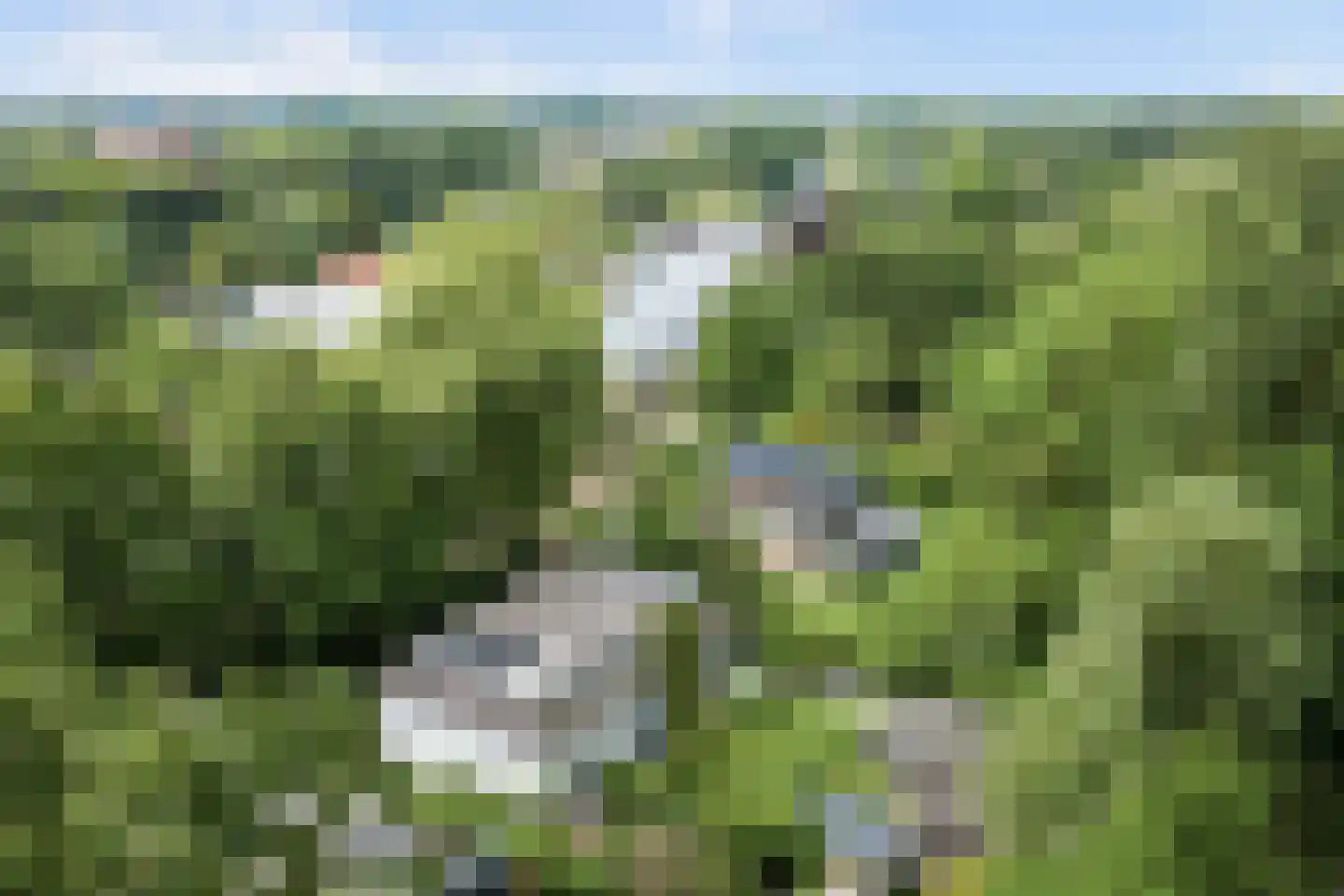 Vechtdijk 146 Utrecht thumbnail 46