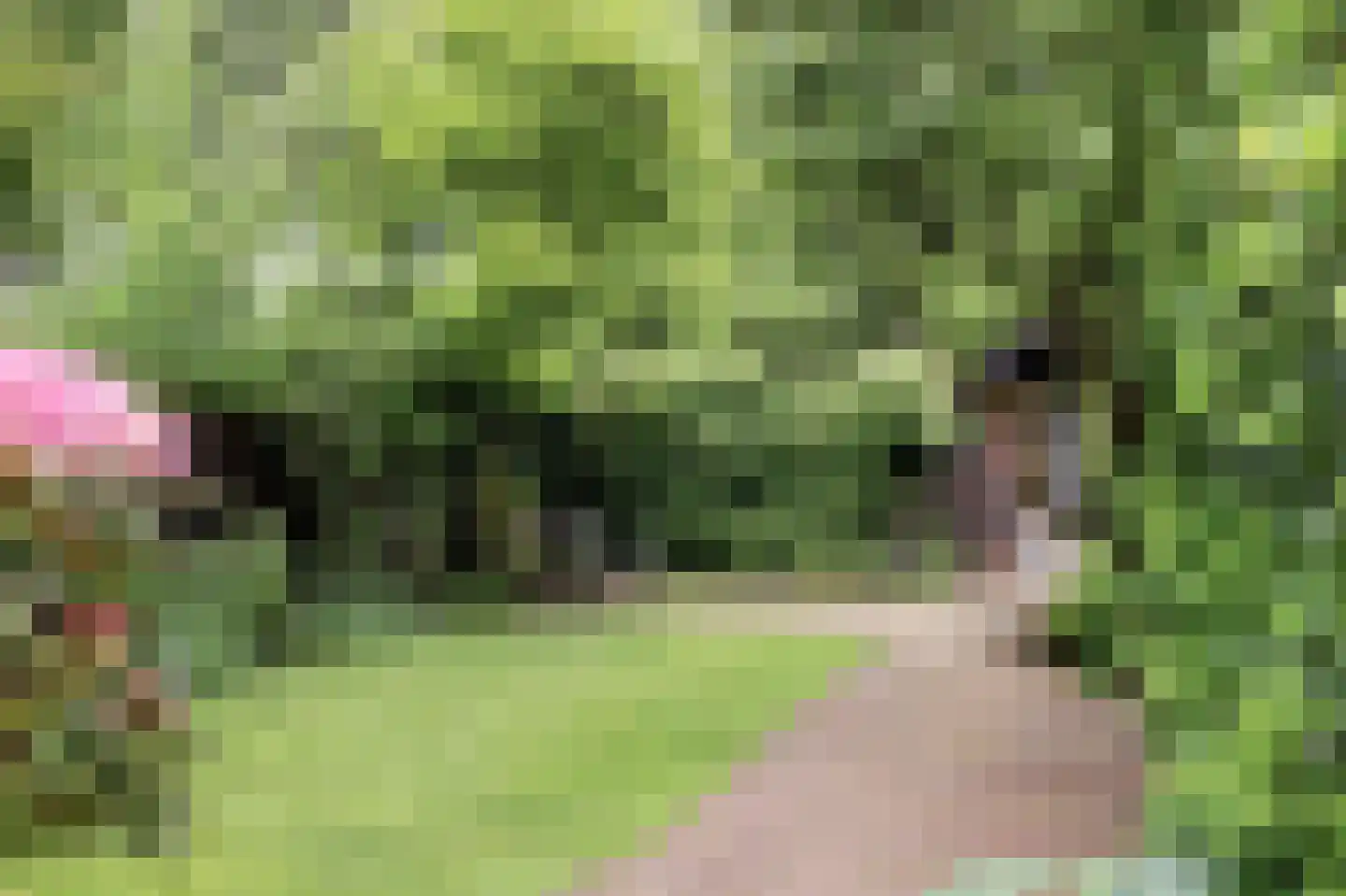 Vechtdijk 146 Utrecht thumbnail 5