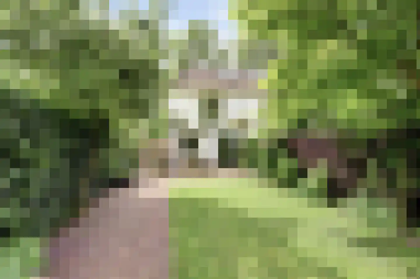 Vechtdijk 146 Utrecht thumbnail 6