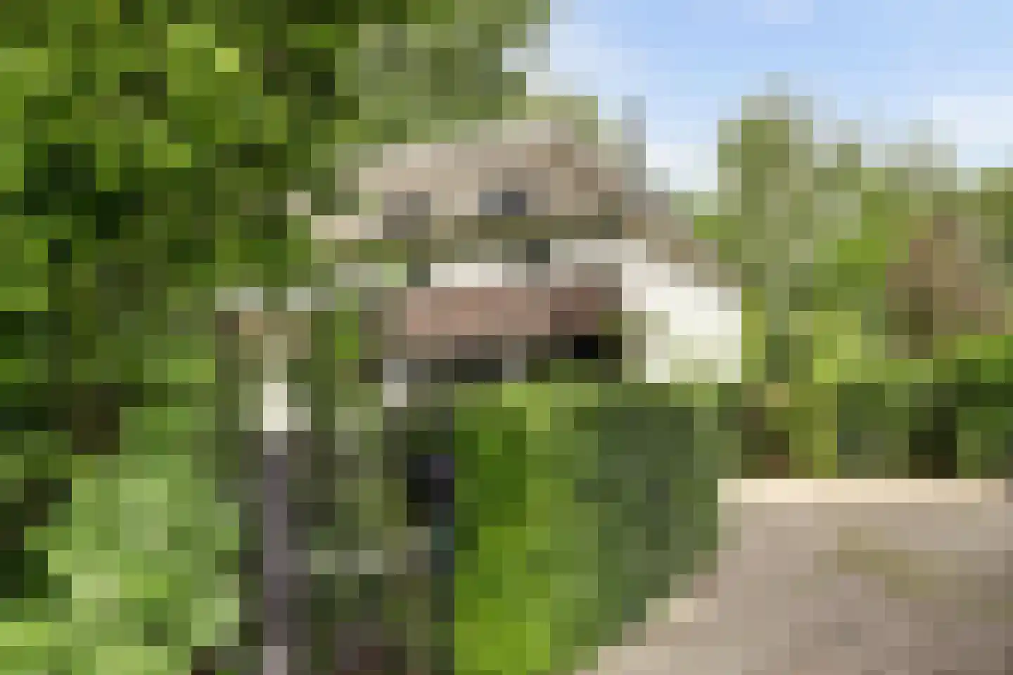 Vechtdijk 146 Utrecht thumbnail 7