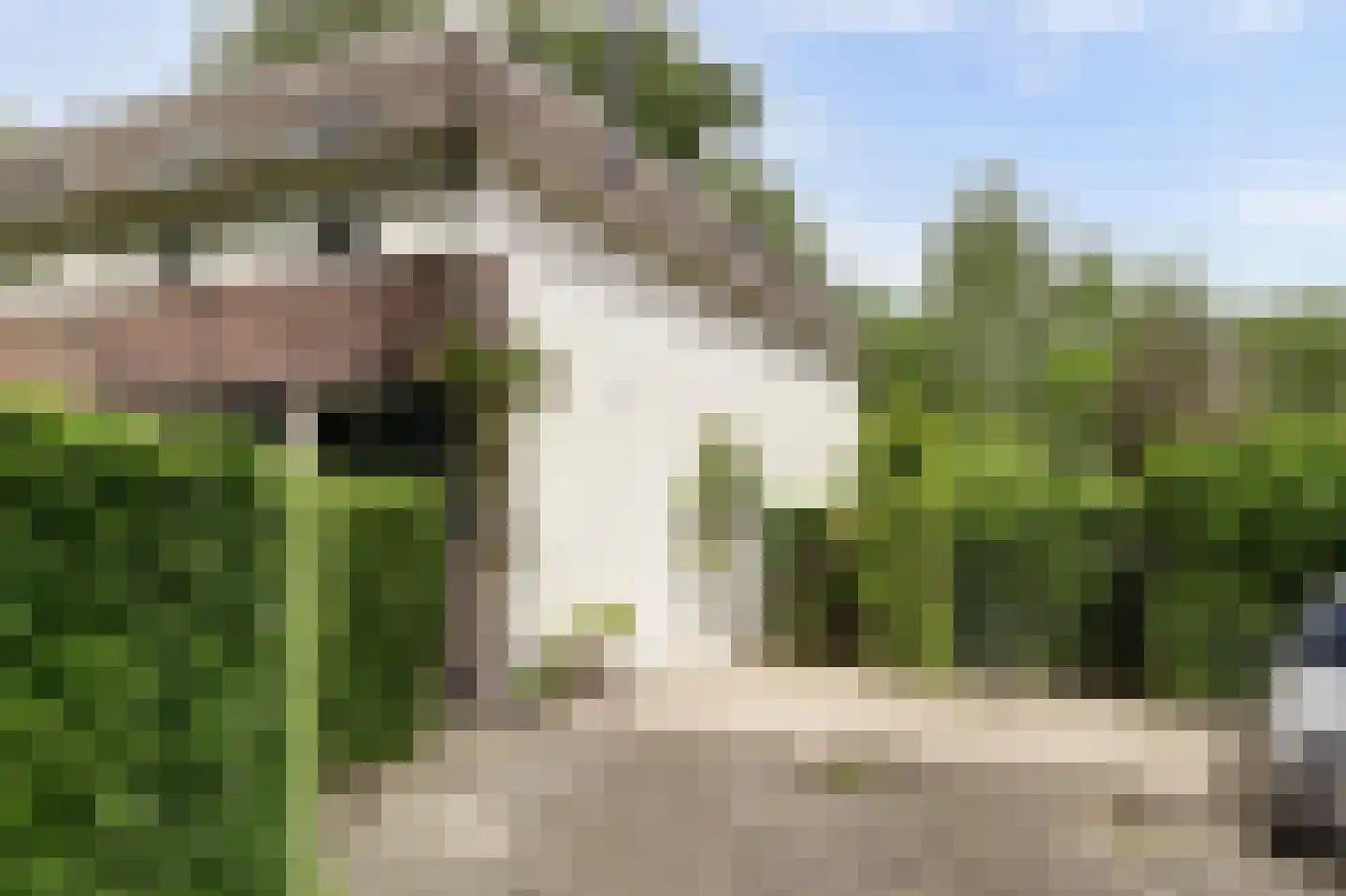 Vechtdijk 146 Utrecht thumbnail 8