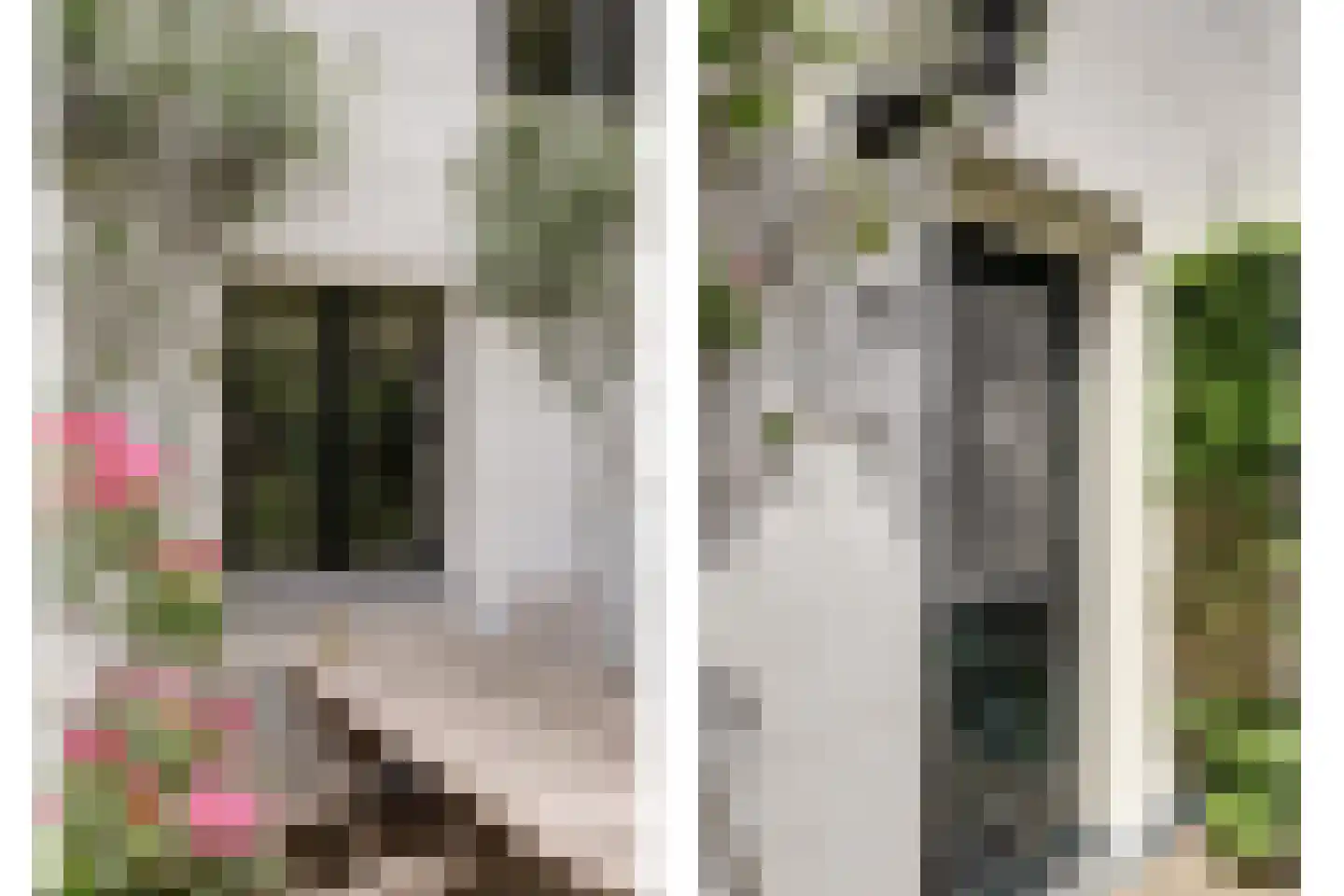 Vechtdijk 146 Utrecht thumbnail 9