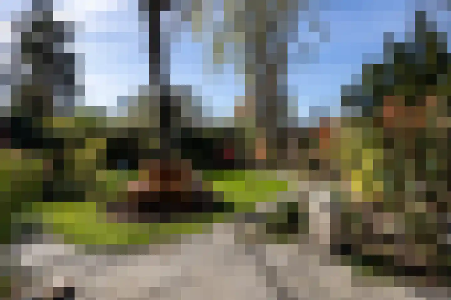 Vechtdijk 156 A Utrecht thumbnail 37