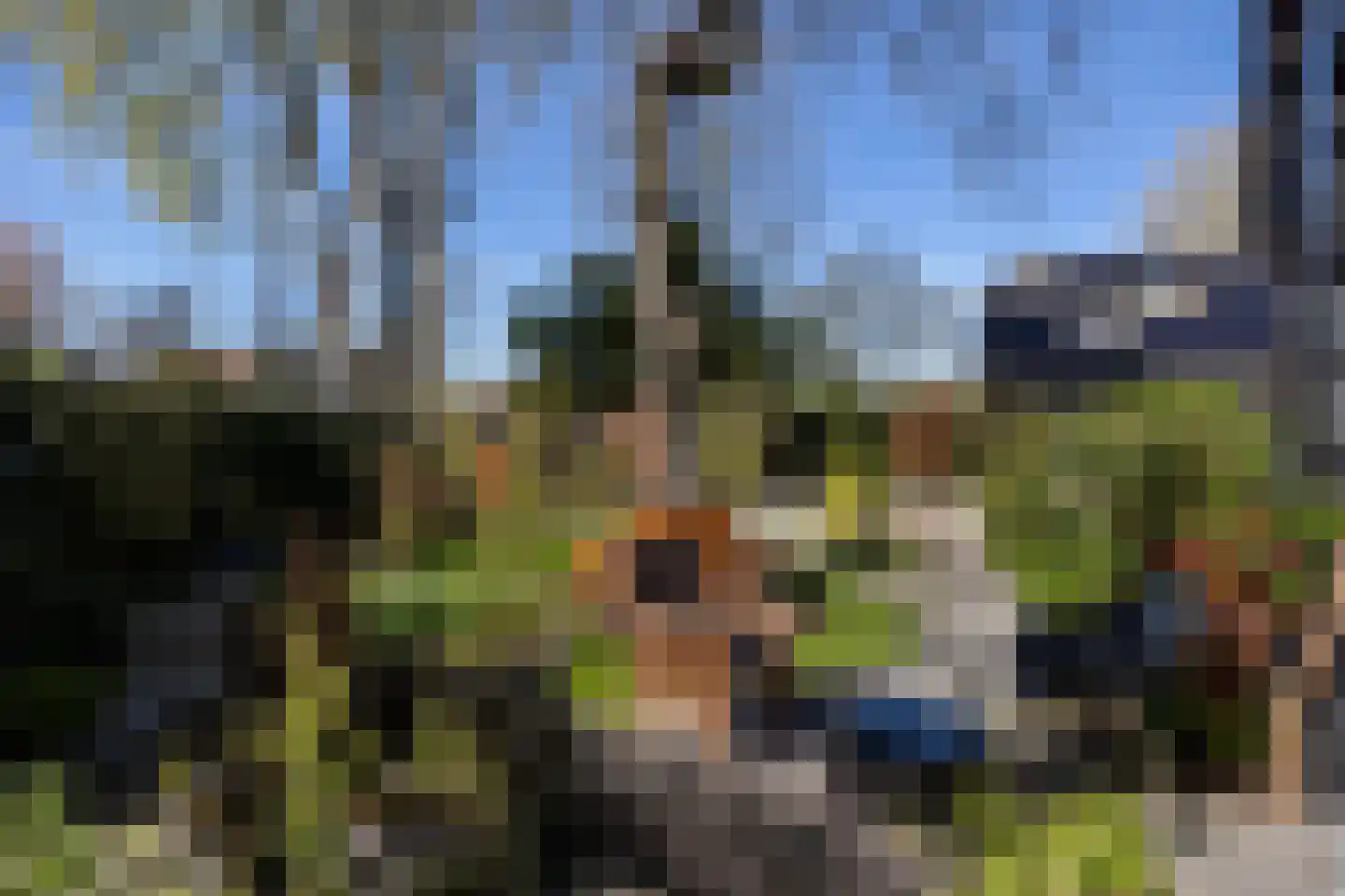 Vechtdijk 156 A Utrecht thumbnail 38
