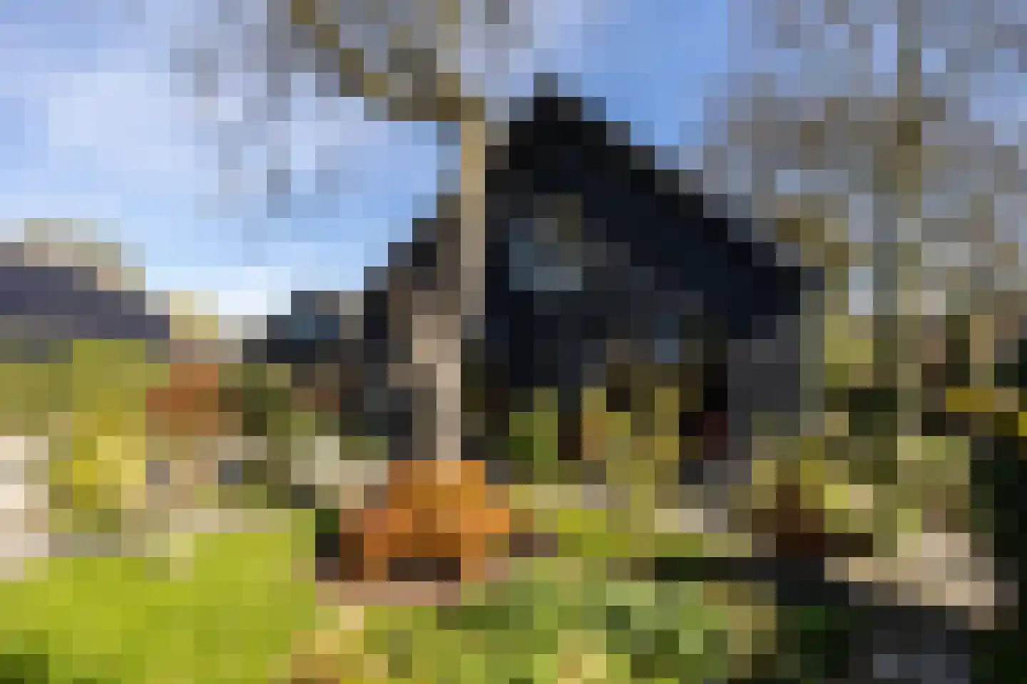 Vechtdijk 156 A Utrecht thumbnail 40