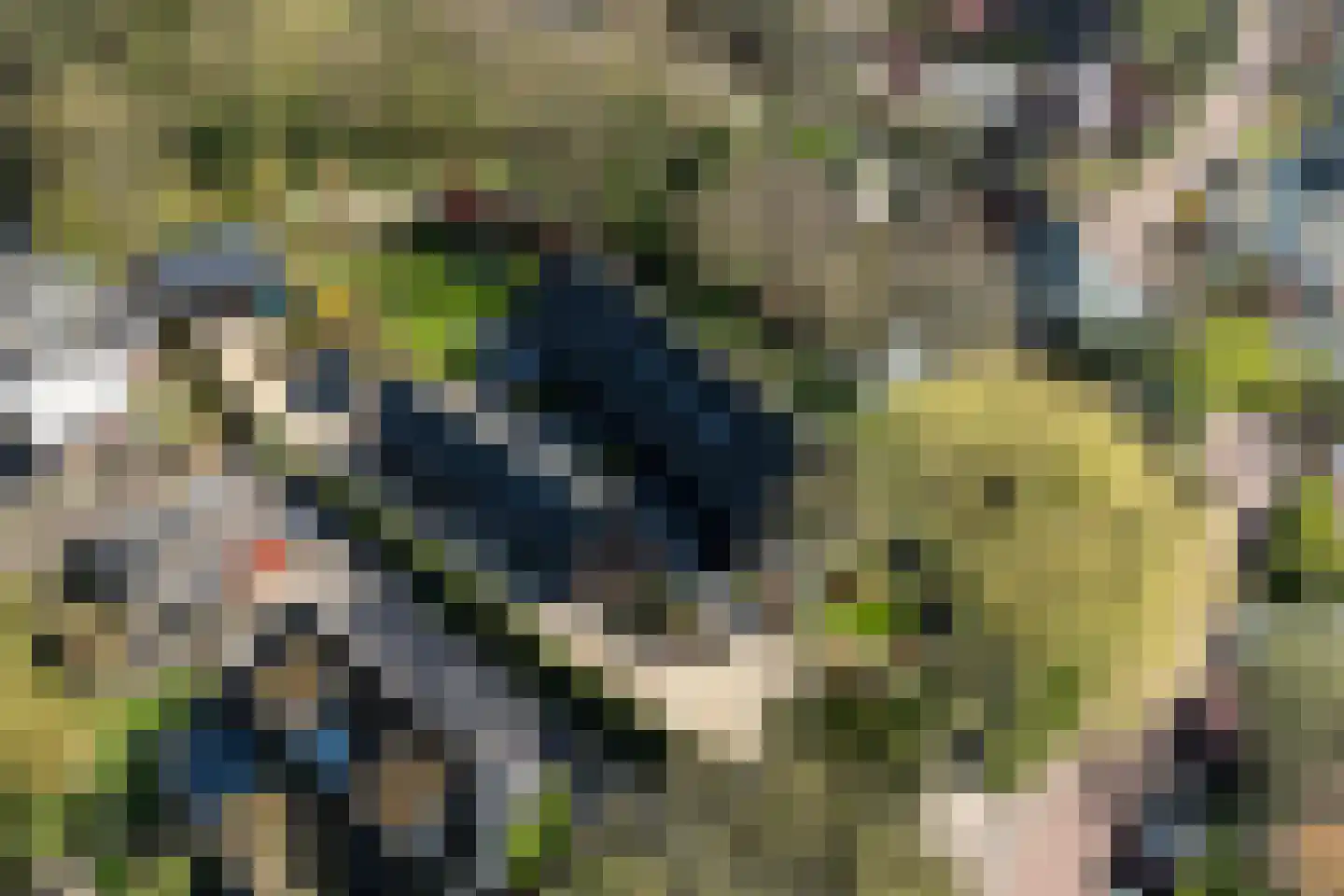 Vechtdijk 156 A Utrecht thumbnail 44