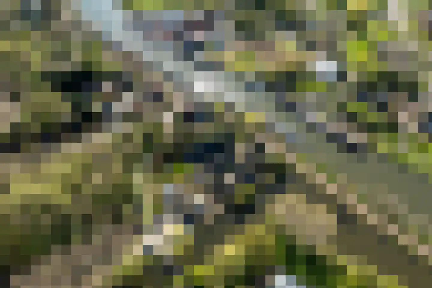 Vechtdijk 156 A Utrecht thumbnail 48