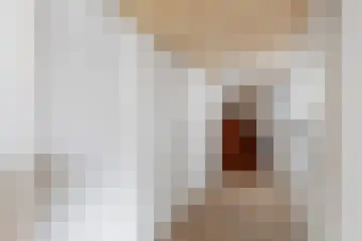 Vechtdijk 320 Utrecht thumbnail 24
