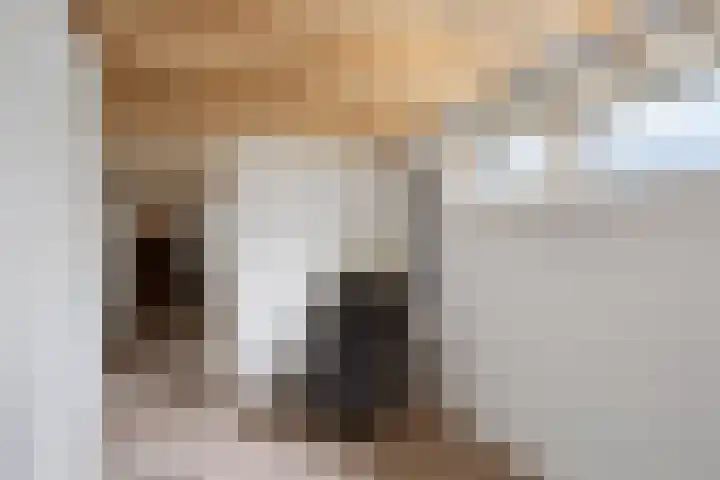 Vechtdijk 320 Utrecht thumbnail 25
