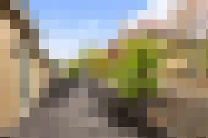 Vechtdijk 320 Utrecht thumbnail 32