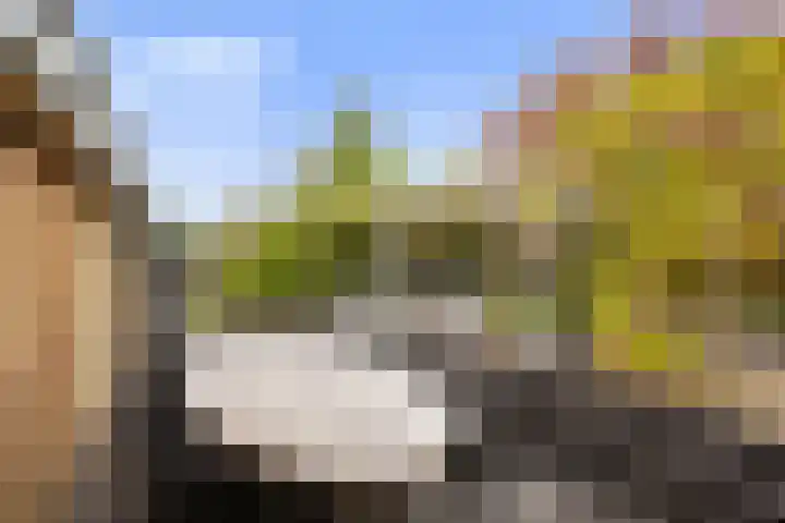 Vechtdijk 320 Utrecht thumbnail 33