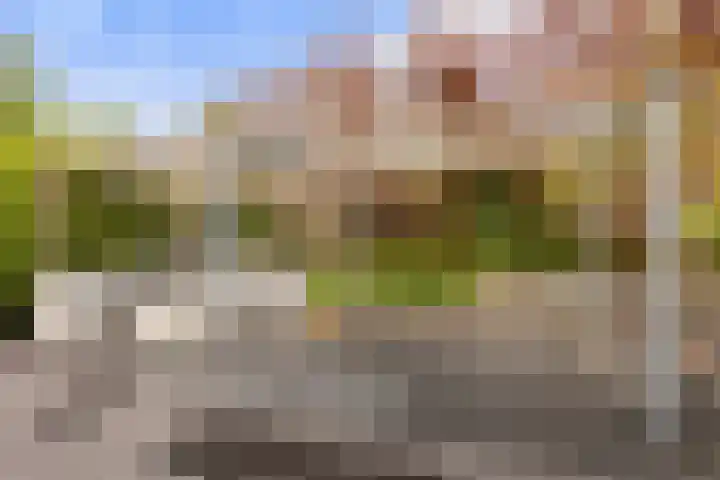 Vechtdijk 320 Utrecht thumbnail 34