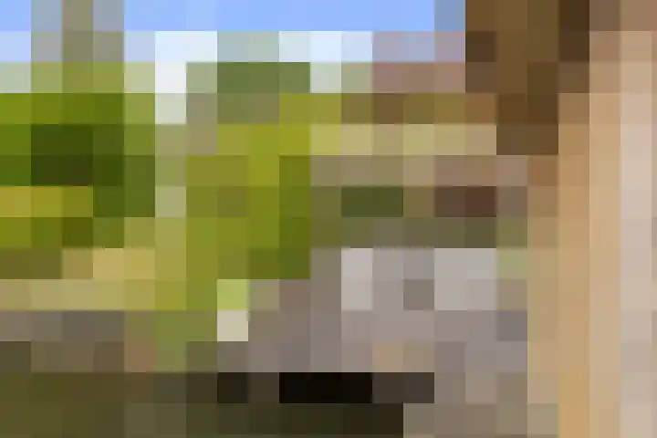 Vechtdijk 320 Utrecht thumbnail 35
