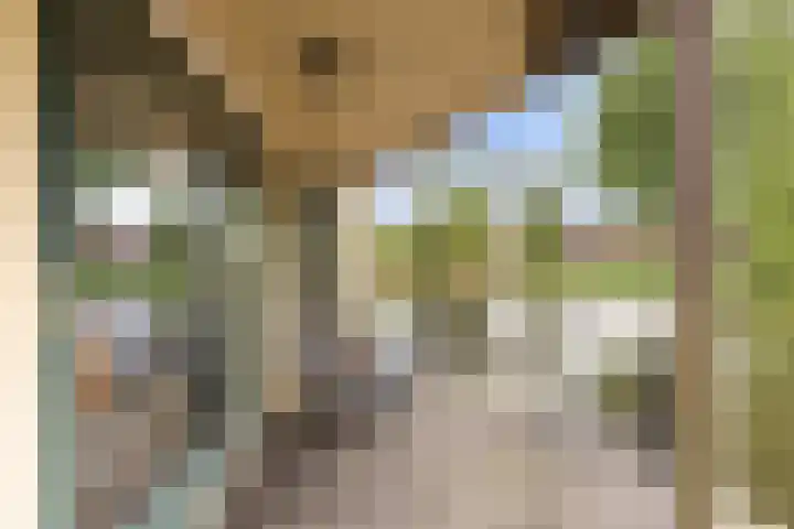 Vechtdijk 320 Utrecht thumbnail 37