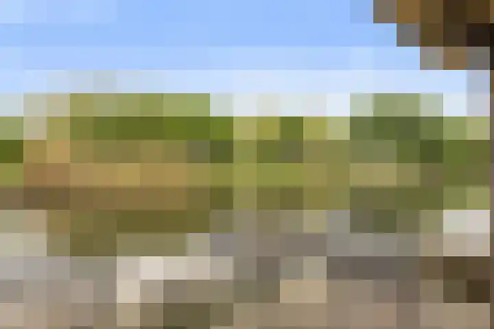 Vechtdijk 320 Utrecht thumbnail 39