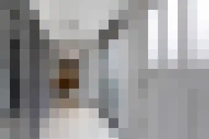 Vechtdijk 320 Utrecht thumbnail 4