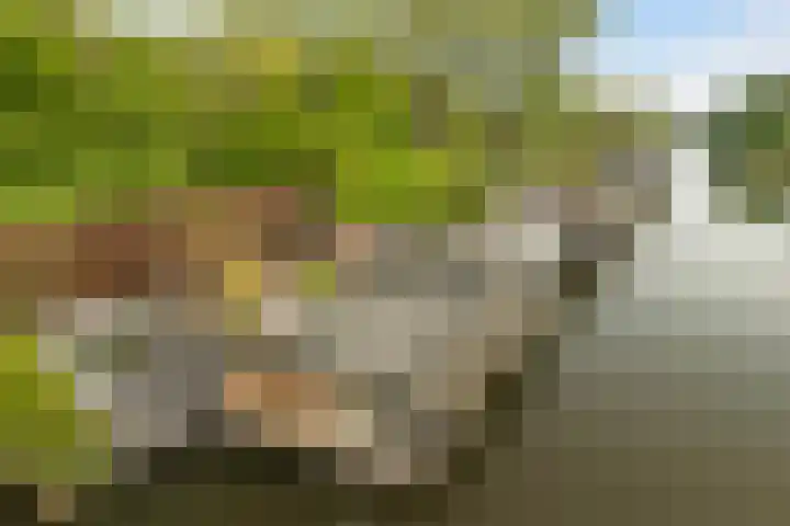 Vechtdijk 320 Utrecht thumbnail 40