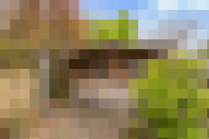 Vechtdijk 320 Utrecht thumbnail 42