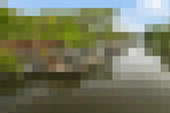 Vechtdijk 320 Utrecht thumbnail 43