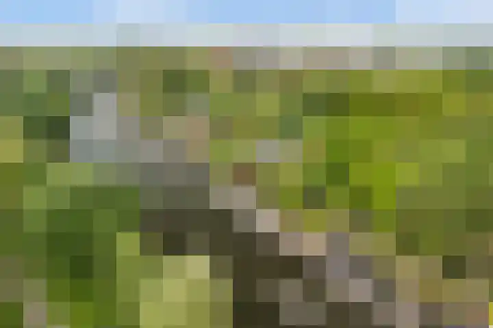 Vechtdijk 320 Utrecht thumbnail 44