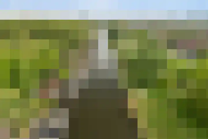 Vechtdijk 320 Utrecht thumbnail 46