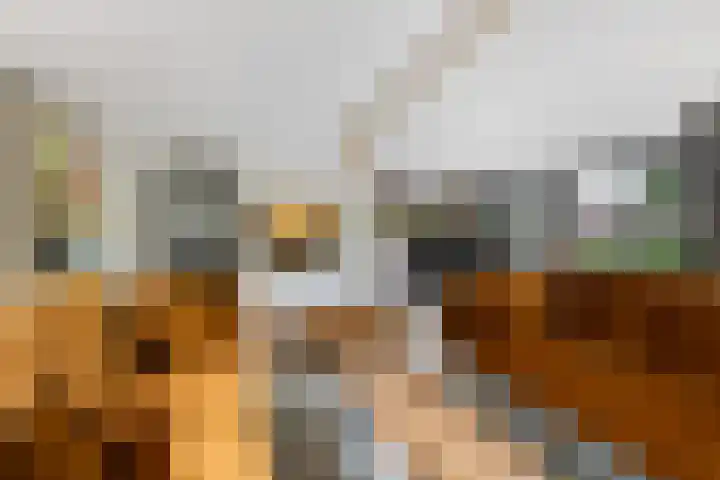 Vechtdijk 320 Utrecht thumbnail 6