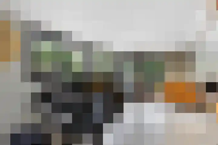 Vechtdijk 320 Utrecht thumbnail 9