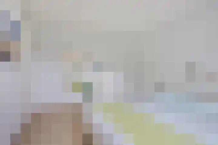 Vechtensteinlaan 69 Maarssen thumbnail 17