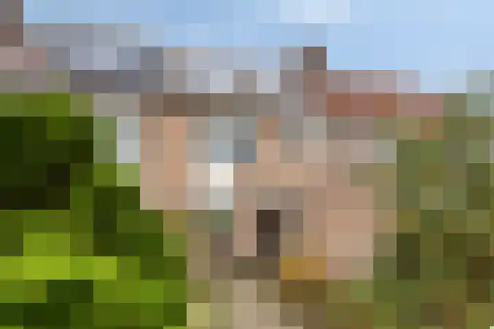 Vechtensteinlaan 69 Maarssen foto 2