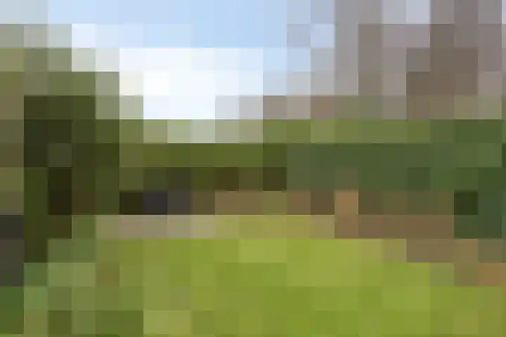 Vechtensteinlaan 69 Maarssen thumbnail 24
