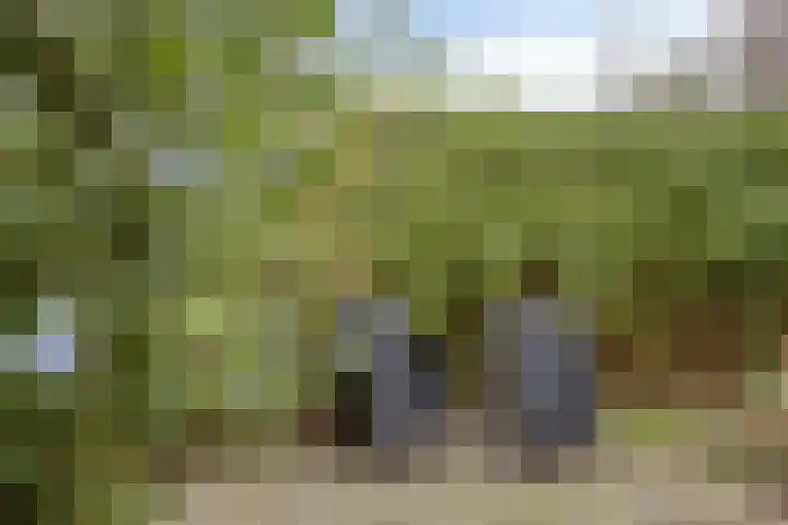 Vechtensteinlaan 69 Maarssen thumbnail 25